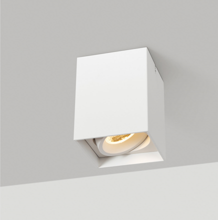 Surface mounted light model SK-02-SD3024