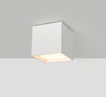 Surface mounted light model SK-02-SD3133