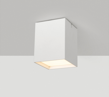 Surface mounted light model SK-02-SD3133