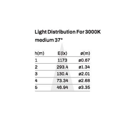 Track Light model SK-04-TR3055