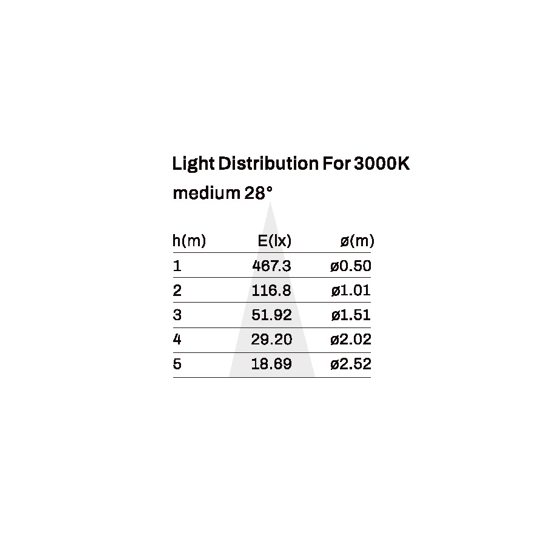Reading Light l Showcase Light SK-09-WL3057