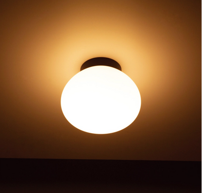 Outdoor surface mount light l Ceiling Light SK-12-3070